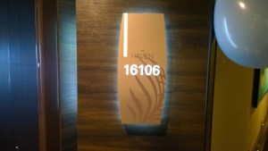 WP_20141018_11_20_31_Pro