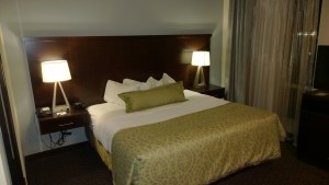 WP_20150219_23_37_39_Pro