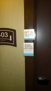 WP_20150220_08_17_10_Pro