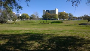 WP_20150220_10_45_23_Pro