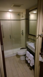 WP_20150412_20_59_43_Pro