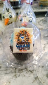 WP_20150522_08_16_03_Pro