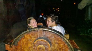 WP_20150523_02_46_08_Pro 1