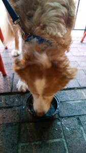 WP_20150627_20_33_29_Pro