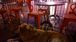 WP_20150627_21_00_19_Pro