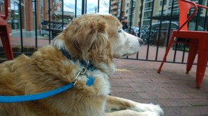 WP_20150628_12_33_45_Pro