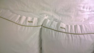 WP_20150814_22_25_52_Pro