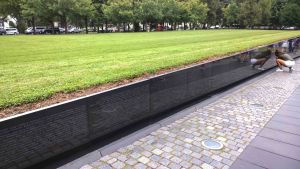 WP_20150820_12_37_18_Pro