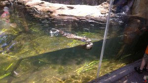 WP_20150821_12_58_35_Pro