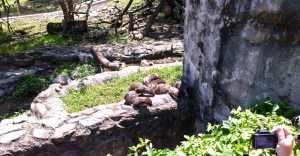 WP_20150821_13_02_37_Pro