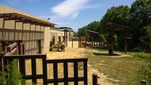 WP_20150821_13_07_31_Pro