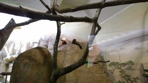 WP_20150821_13_23_32_Pro