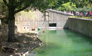 WP_20150821_13_45_03_Pro