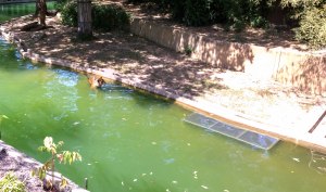 WP_20150821_13_51_01_Pro