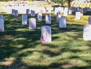 WP_20150822_10_22_06_Pro