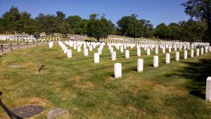 WP_20150822_10_23_03_Pro