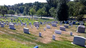 WP_20150822_10_33_58_Pro