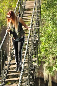 Wild Africa Trek 101