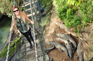 Wild Africa Trek 102